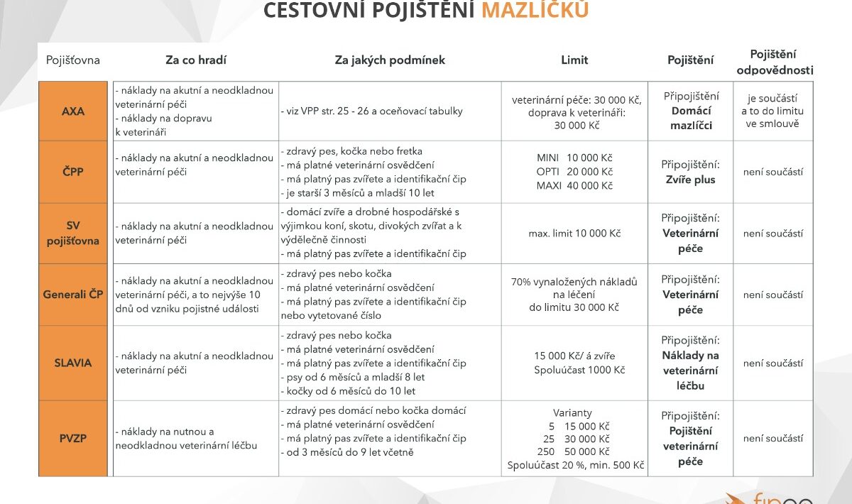 Dovolená s pejskem či kočičkou? Nezapomeňte na cestovní pojištění pro mazlíčky