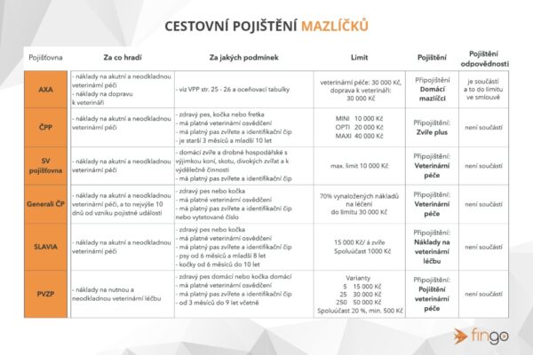 Dovolená s pejskem či kočičkou? Nezapomeňte na cestovní pojištění pro mazlíčky