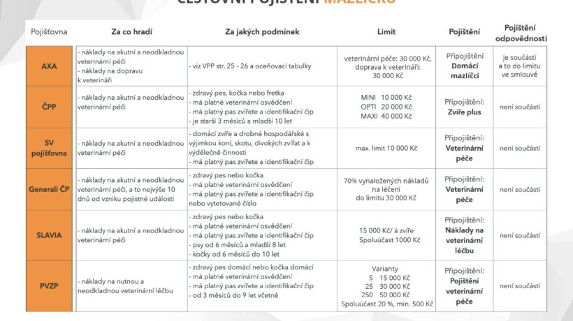 Dovolená s pejskem či kočičkou? Nezapomeňte na cestovní pojištění pro mazlíčky