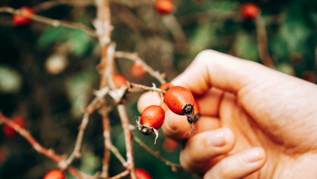 Spot verzus deriváty: Rámec pre obozretné zvažovanie pákových produktov