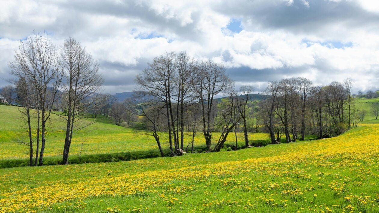 Likviditné incentívy: Komparácia odmien a rizika rýchleho odtoku kapitálu (liquidity mining)