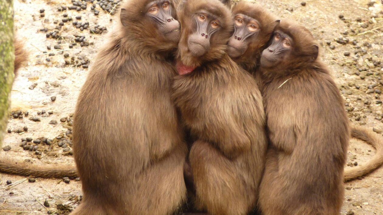 Volatilita v krypto: Clustering, predpovedateľnosť a dôsledky pre plán riadenia rizík