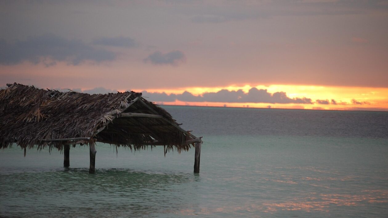 Reálna cena peňazí pri inflácii: Komparácia fixnej a variabilnej sadzby