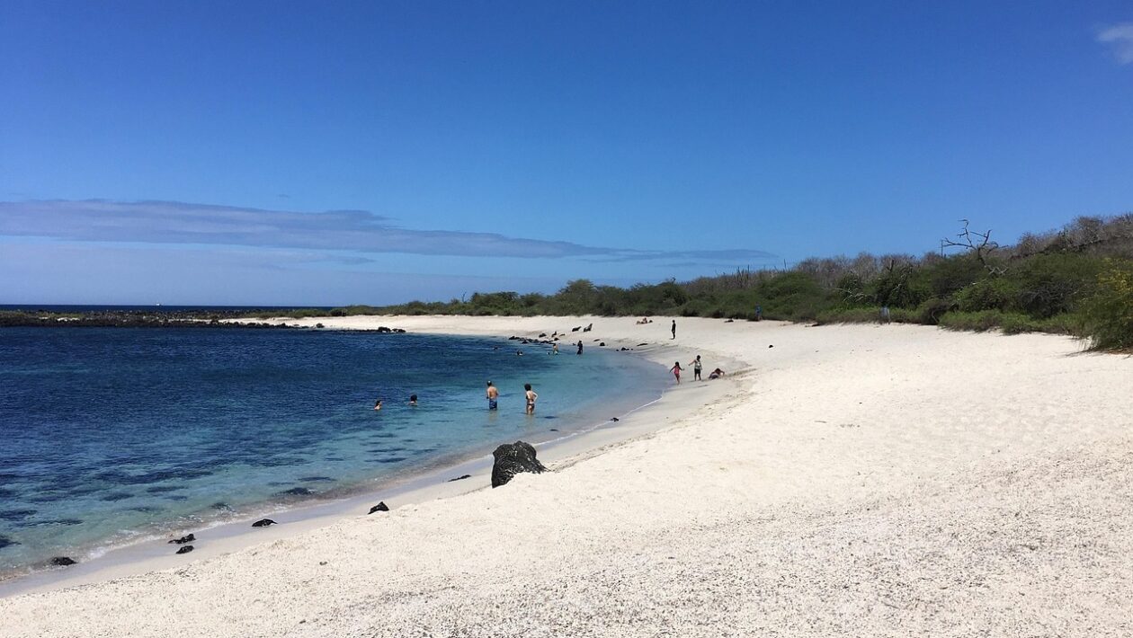 Ako čítať predzmluvné informácie a ESIS pri hypotéke: Detailný rozbor