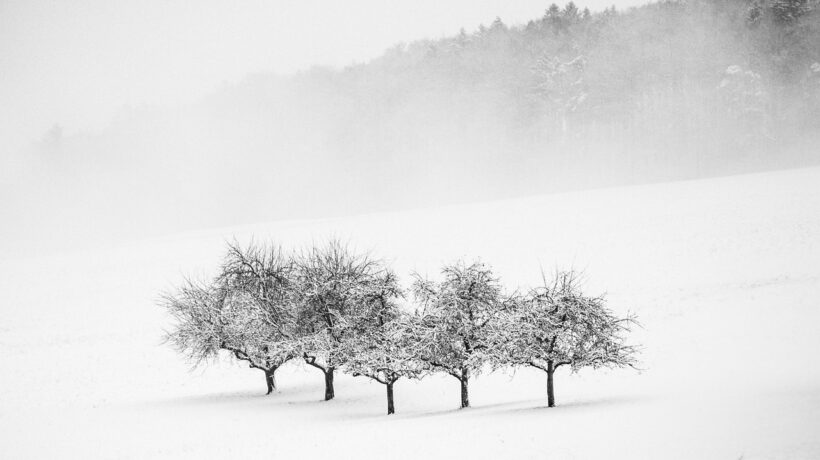 Amortizačný plán splácania: Detailný mechanizmus fungovania