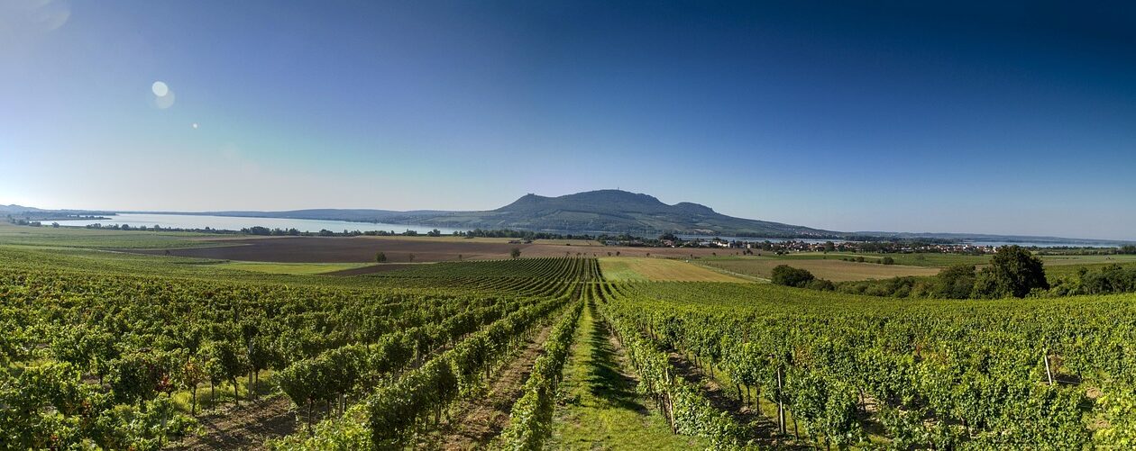 Kreditné skóre: Mechanizmus vzniku a stratégie na jeho zlepšenie