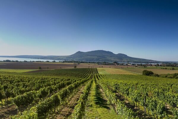 Kreditné skóre: Mechanizmus vzniku a stratégie na jeho zlepšenie