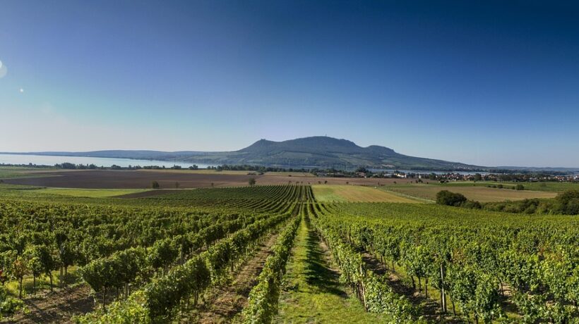 Kreditné skóre: Mechanizmus vzniku a stratégie na jeho zlepšenie