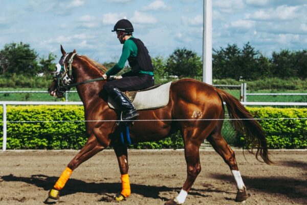 Úvery pre seniorov: Pozor na nátlak a dodatky