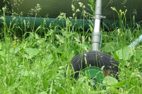 Firemné akcie: Eventy a teambuilding – Daňové dopady a uznateľnosť nákladov