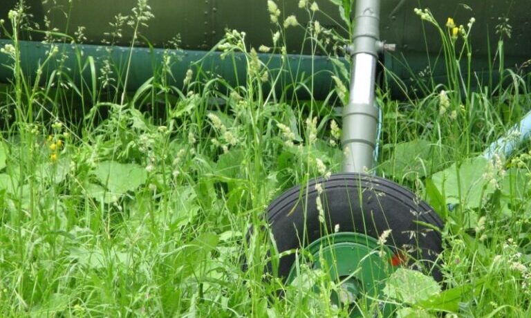 Firemné akcie: Eventy a teambuilding – Daňové dopady a uznateľnosť nákladov