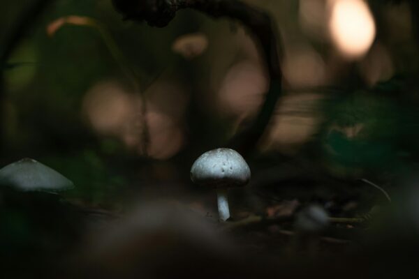 Cestovné poistenie: Typy krytia a výluky