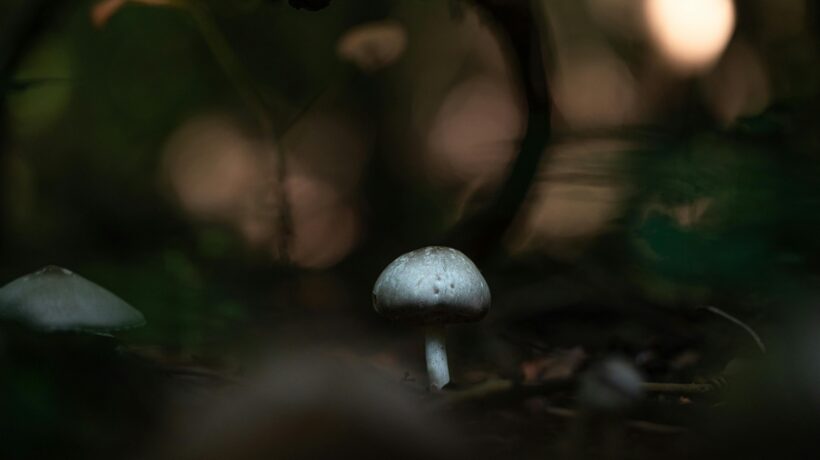 Cestovné poistenie: Typy krytia a výluky