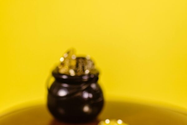 Vzťah medzi menovou a fiškálnou politikou: Interakcie a nezávislosť centrálnej banky