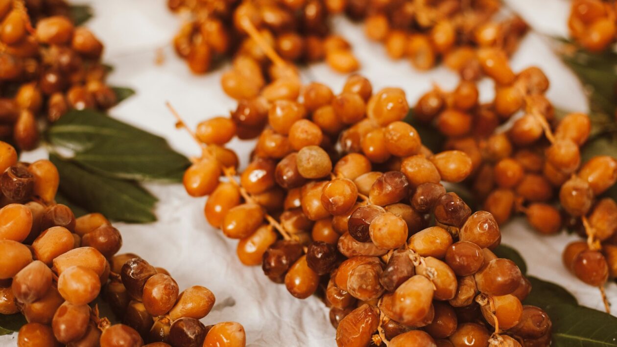 Podielové fondy: Princíp fungovania a právna forma