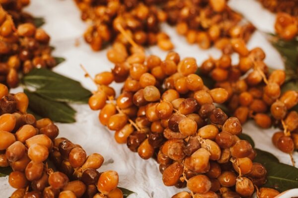 Podielové fondy: Princíp fungovania a právna forma