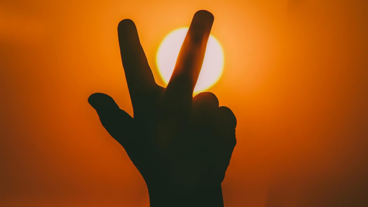 Finančná páka a jej vplyv na rentabilitu: Maximalizácia zisku