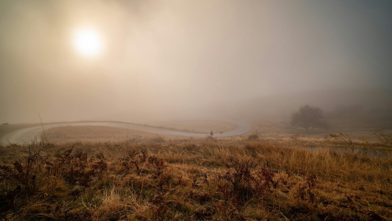 Podvojné účtovníctvo: Základné princípy a systém účtov