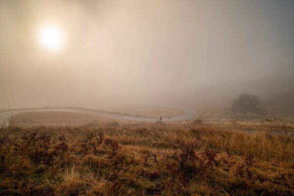 Podvojné účtovníctvo: Základné princípy a systém účtov