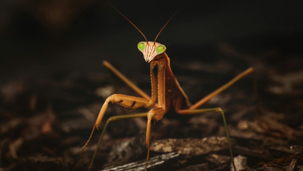 Regulácia a dohľad nad finančnými inštitúciami: Makro a mikroprudenciálny dohľad