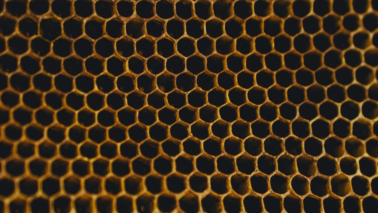 Banková regulácia a Basel III: Kapitálová primeranosť