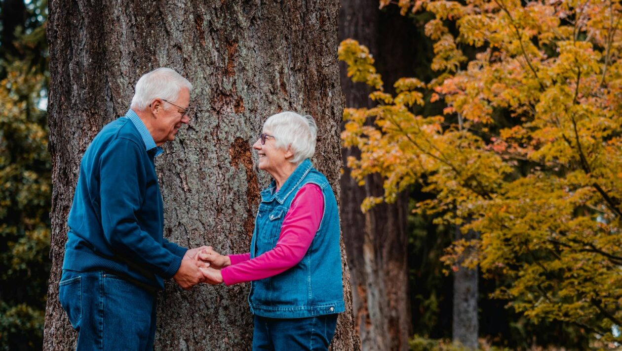Družstevný princíp a členstvo v sporiteľniach: Štruktúra