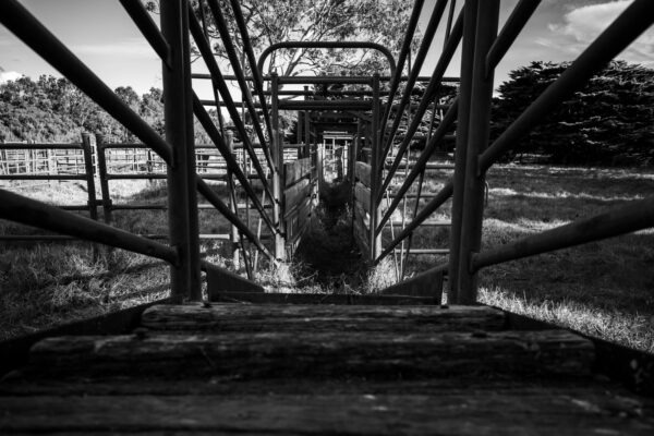 Komerčná vs. investičná banka: Rozdiel v činnosti