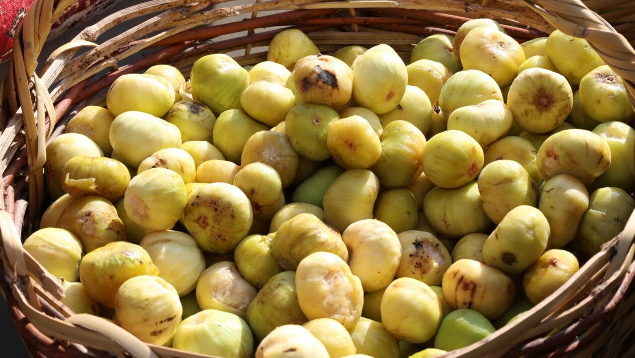 Modely hodnotenia bonity klienta: Kreditné skóre