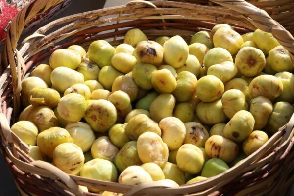 Modely hodnotenia bonity klienta: Kreditné skóre