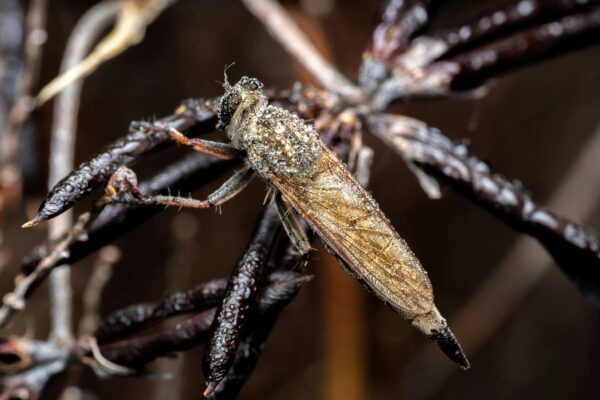 Riziká, ktoré kryje úverové poistenie: Invalidita