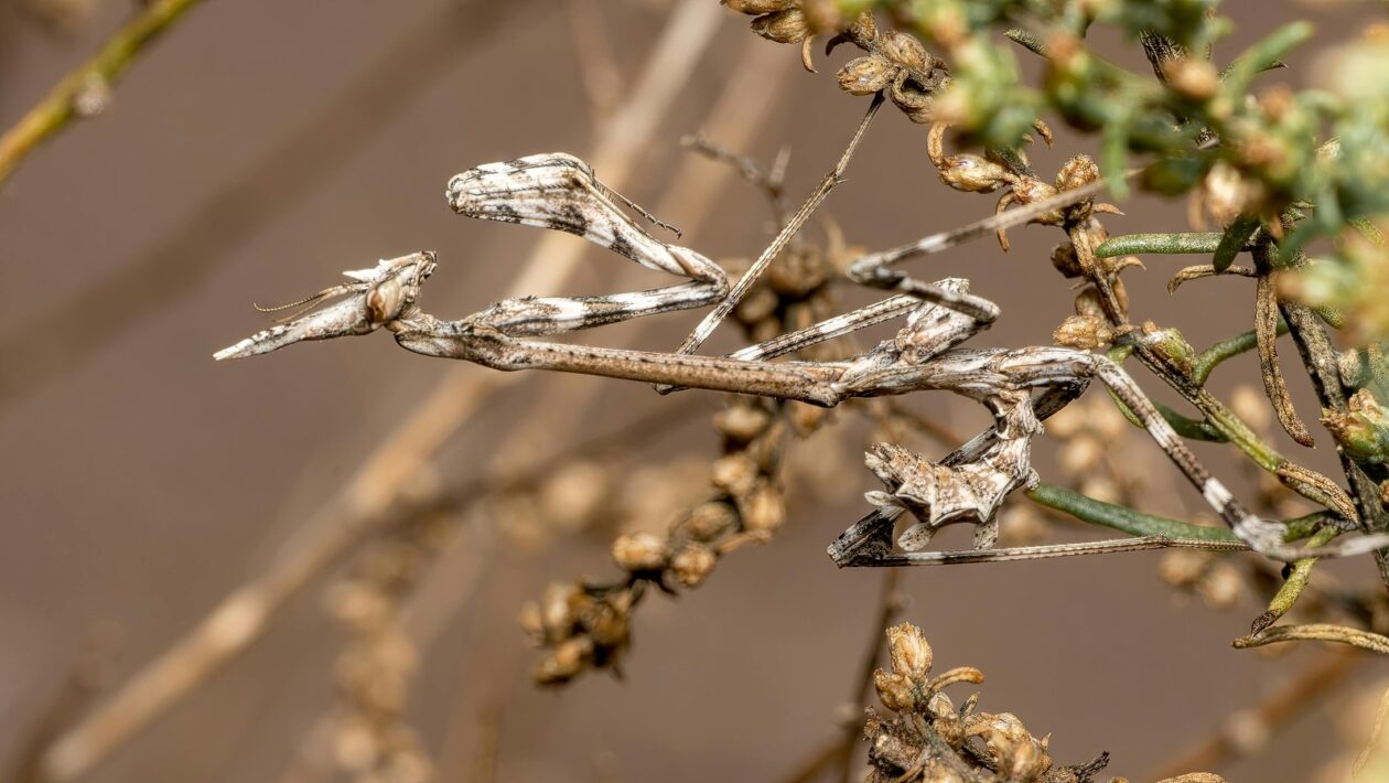 Podmienky plnenia a výluky z poistenia: Zmluva