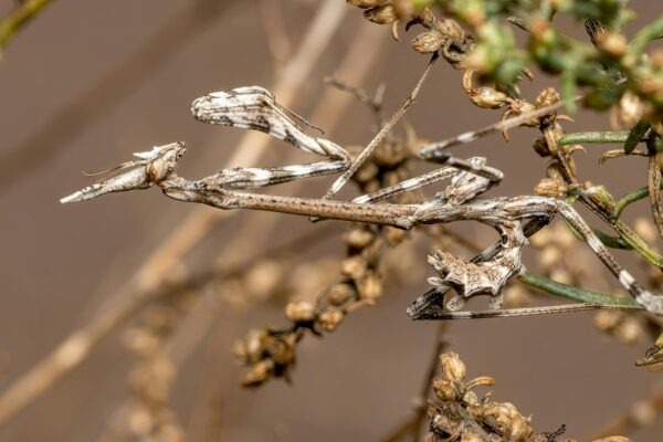 Podmienky plnenia a výluky z poistenia: Zmluva